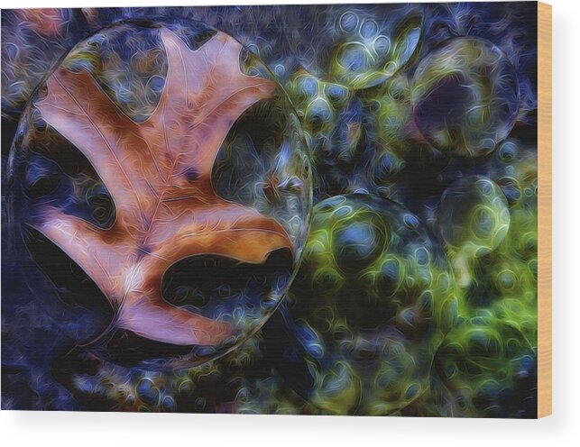 Leaf Wood Print featuring the photograph Autumn Rains by Mark Fuller