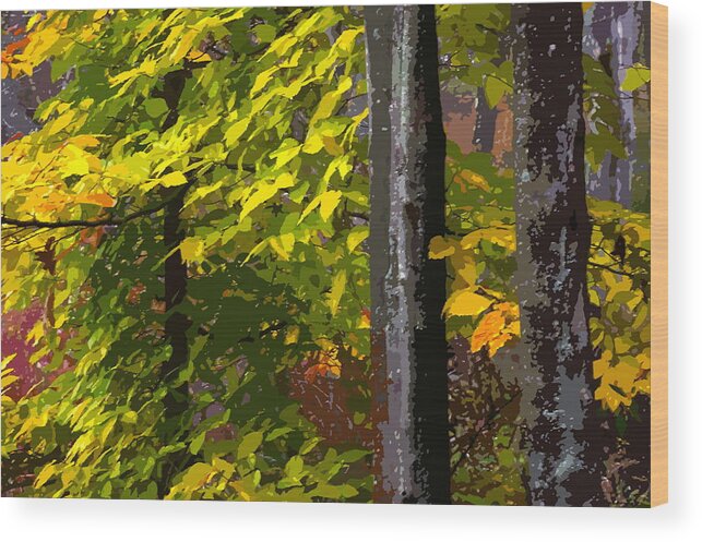 Autumn Wood Print featuring the photograph Autumn by Randy Pollard