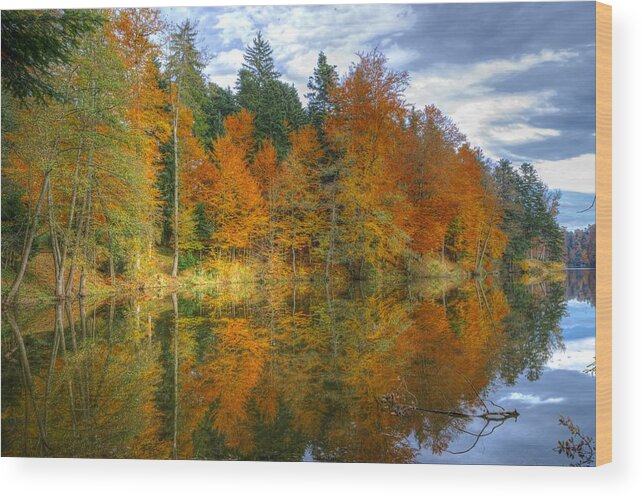 Autumn Wood Print featuring the photograph Autumn reflection by Ivan Slosar