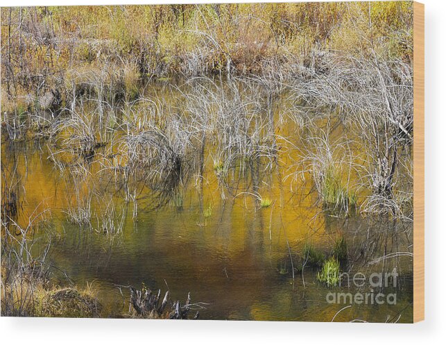 San Juan Mountains Wood Print featuring the photograph Autumn Reflection Pool by Bob Phillips
