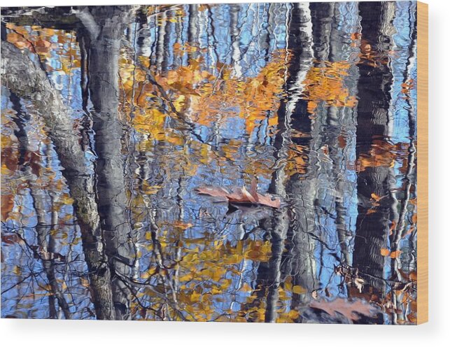 Autumn Wood Print featuring the photograph Autumn Reflection with Leaf by Phyllis Meinke
