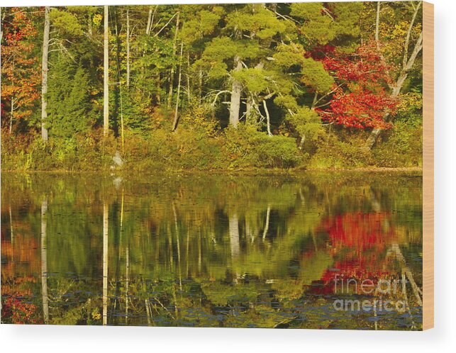 Moose Pond; Denmark Wood Print featuring the photograph Autumn Reflections by Alice Mainville