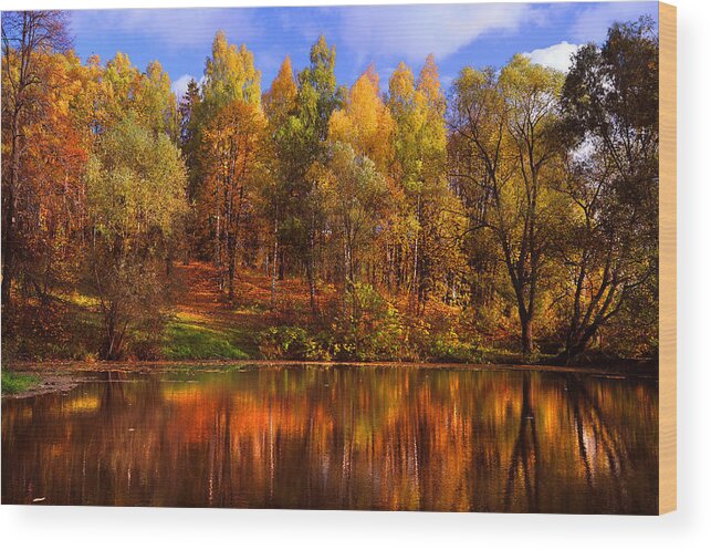 Jenny Rainbow Fine Art Photography Wood Print featuring the photograph Autumn Reflections by Jenny Rainbow