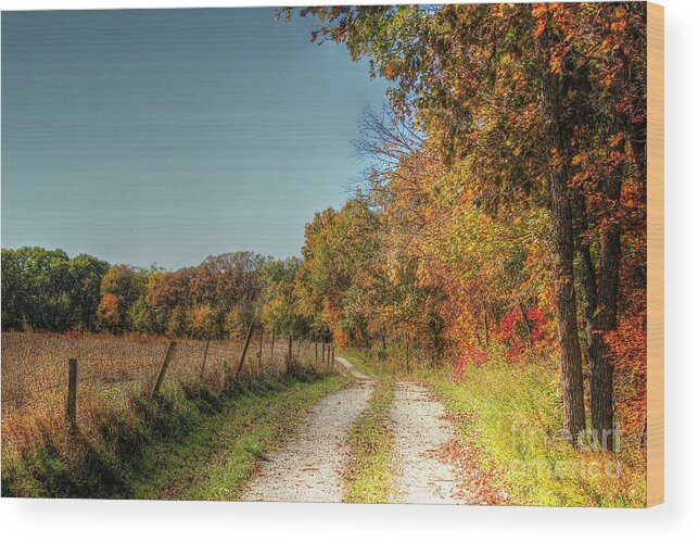 Landscape Wood Print featuring the photograph Autumn Ridge by Thomas Danilovich