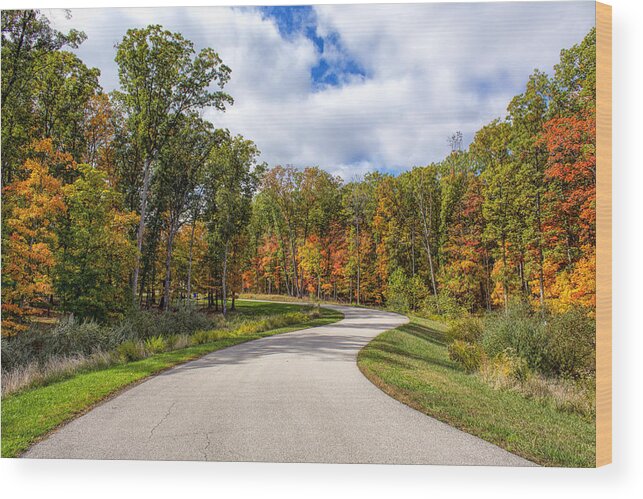 Autumn Wood Print featuring the photograph Autumn Road by Bill and Linda Tiepelman
