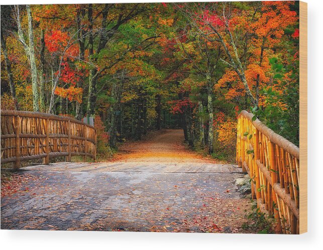 Autumn Wood Print featuring the photograph Autumn Road by Jeff Sinon
