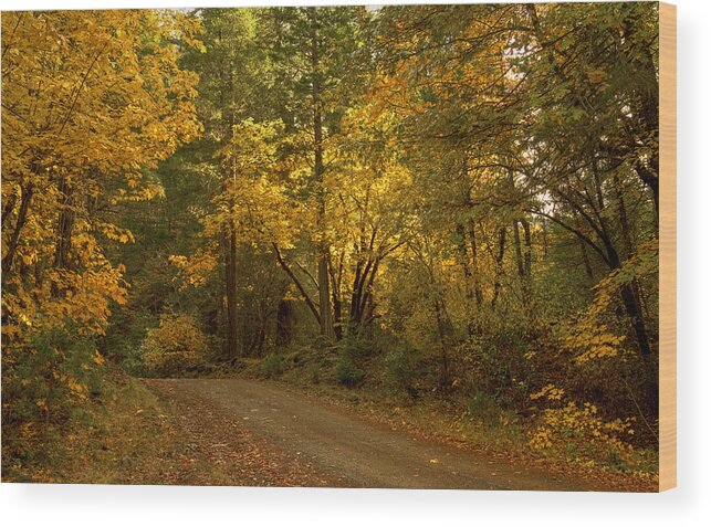 Loree Johnson Wood Print featuring the photograph Autumn Road by Loree Johnson