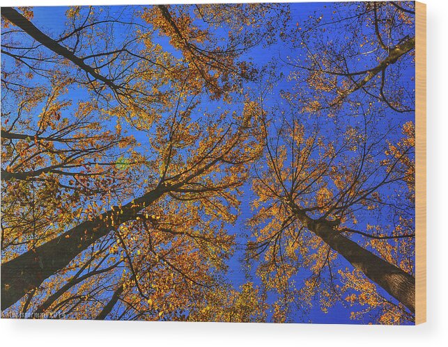 Brighton Dam Wood Print featuring the photograph Autumn Sky by Kathi Isserman