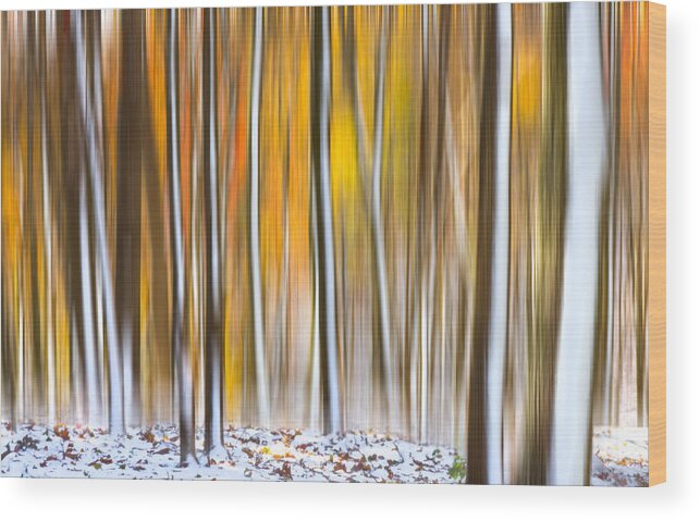 Fall Wood Print featuring the photograph Autumn Snow Dream by Carl Amoth