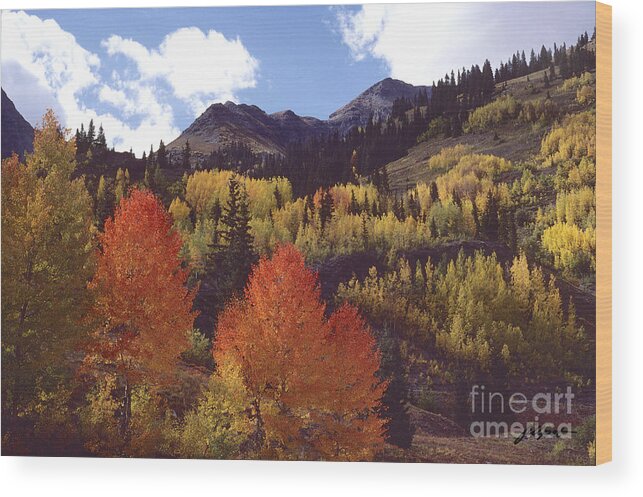 Mountains Wood Print featuring the photograph Autumn Splendor by Bon and Jim Fillpot