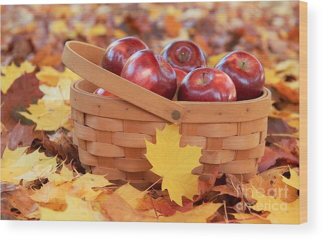 Maine Wood Print featuring the photograph Autumn Still Life by Karin Pinkham