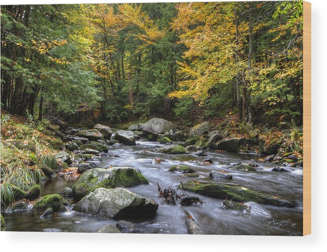 Autumn Wood Print featuring the photograph Autumn Stream by Donna Doherty
