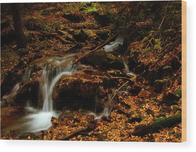 Colorado Wood Print featuring the photograph Autumn Washed Away by Jeremy Rhoades