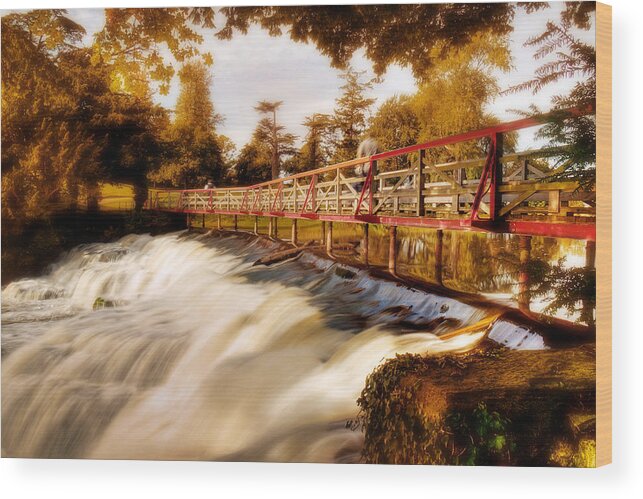Waterfall Wood Print featuring the photograph Autumn Waterfall / Maynooth by Barry O Carroll