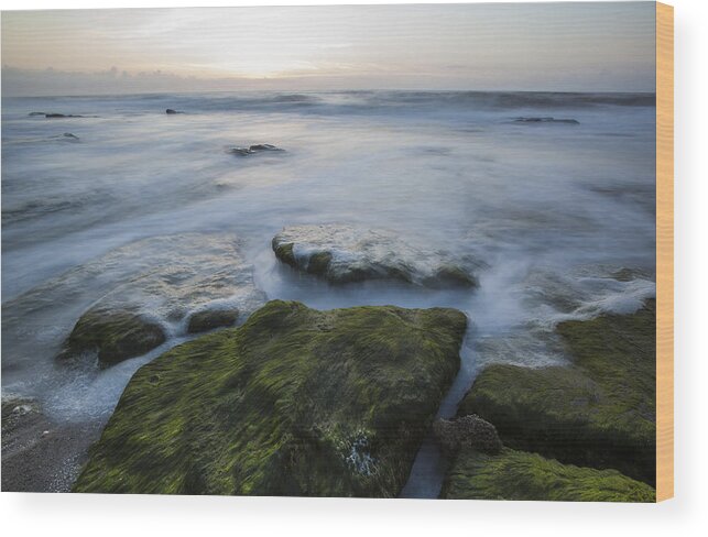 Surf Wood Print featuring the photograph Awakening by Doug McPherson