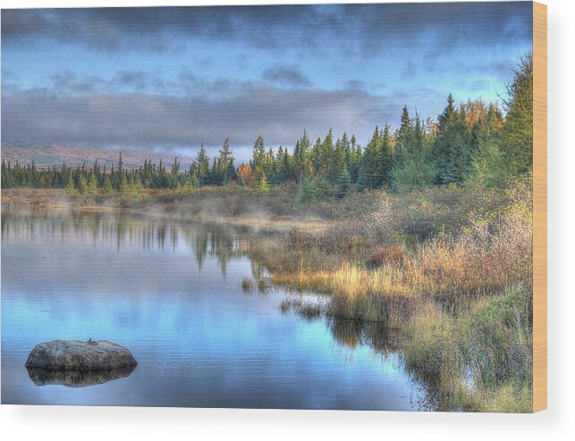 Maine Wood Print featuring the photograph Awakening Your Senses by Shelley Neff