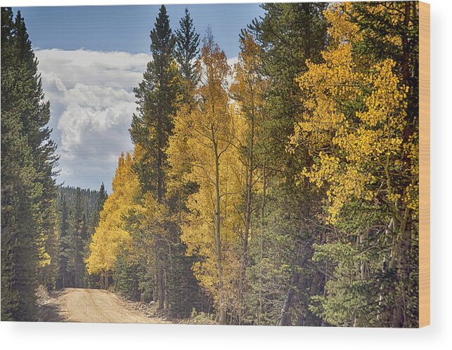 Autumn Wood Print featuring the photograph Back Road To Autumn by James BO Insogna