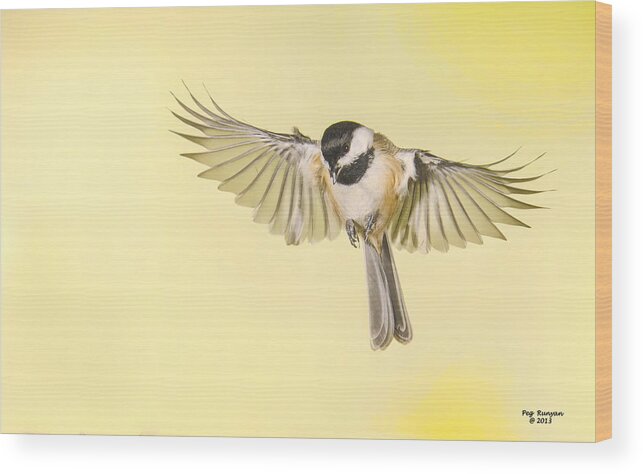 Chickadee Wood Print featuring the photograph Back Yard Buddy by Peg Runyan