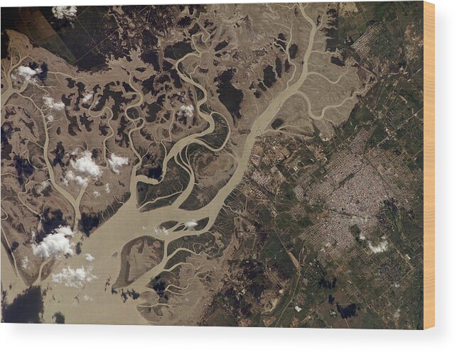 Bahia Blanca Wood Print featuring the photograph Bahia Blanca Estuary by Nasa/science Photo Library