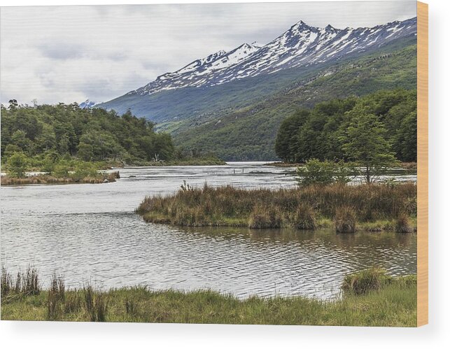 Outdoors Wood Print featuring the photograph Bahia Ensenada by Alfred Pasieka/science Photo Library