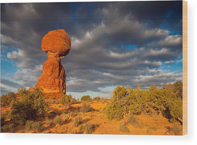 Moab Wood Print featuring the photograph Balanced Rock by Darren Bradley