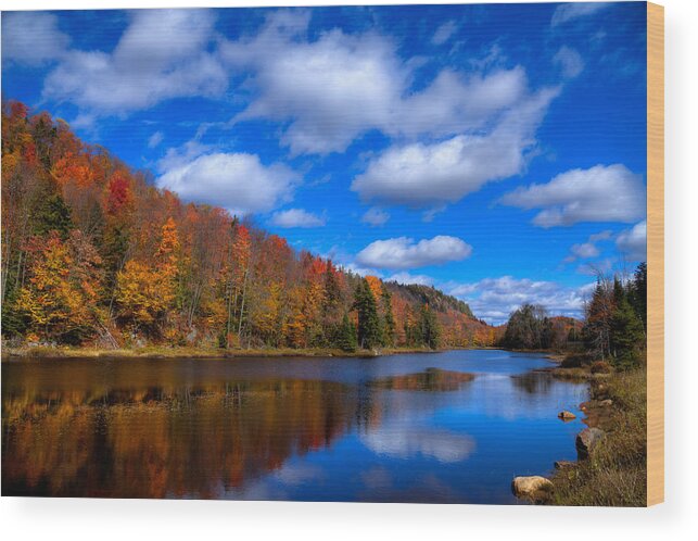 Adirondack's Wood Print featuring the photograph Bald Mountain Pond in Autumn by David Patterson
