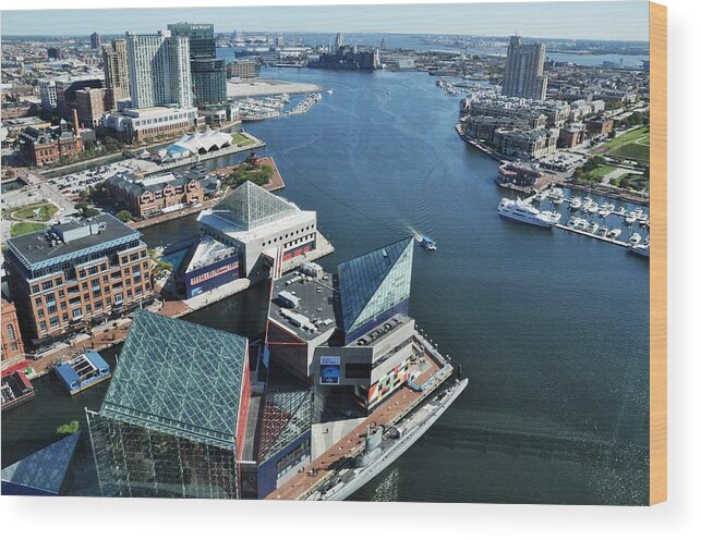 Baltimore Harbor Wood Print featuring the photograph Baltimore Harbor by Andrew Dinh