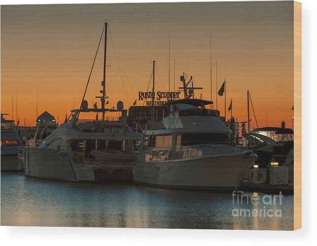 Clarence Holmes Wood Print featuring the photograph Baltimore Inner Harbor Marina at Dawn I by Clarence Holmes