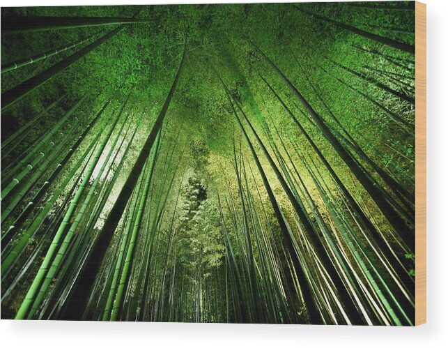 Foliage Wood Print featuring the photograph Bamboo Night by Takeshi Marumoto