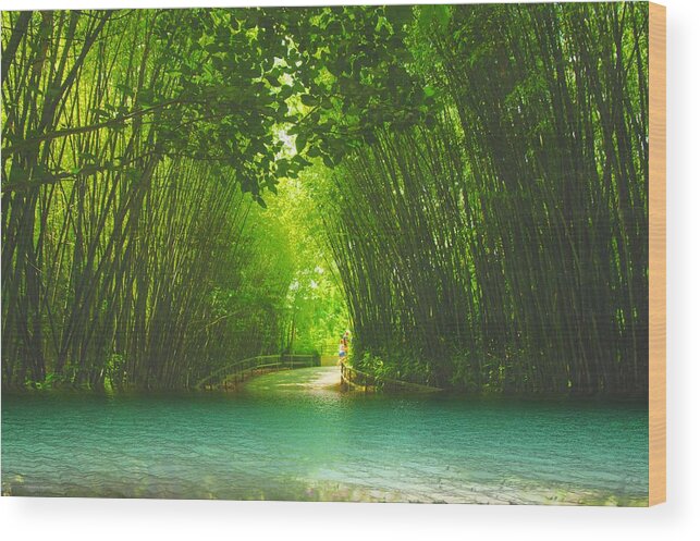 Blue Lagoon Wood Print featuring the photograph bamboo path to Blue Lagoon by Dennis Baswell
