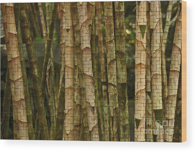 Bamboo Wood Print featuring the photograph Bamboo with Texture by Vivian Christopher