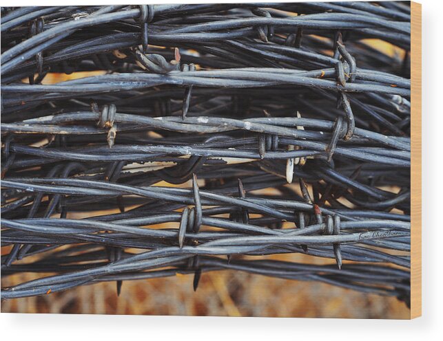 Barbed Wire Wood Print featuring the photograph Barbs Wound Tight by Kae Cheatham