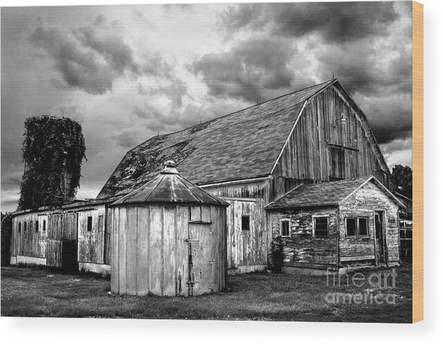 Barn Wood Print featuring the photograph Barn 66 by Michael Arend