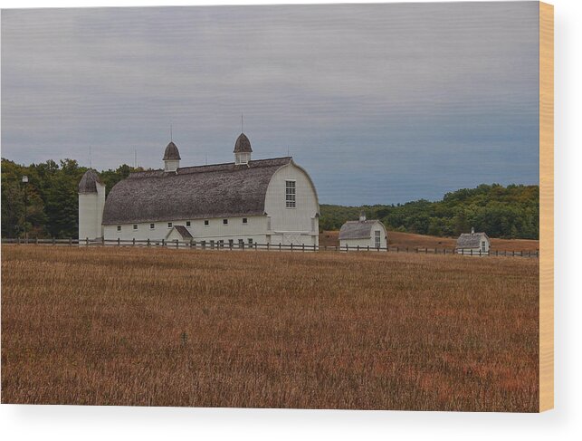 Barn Wood Print featuring the photograph Barn on a Windy Day by Rachel Cohen
