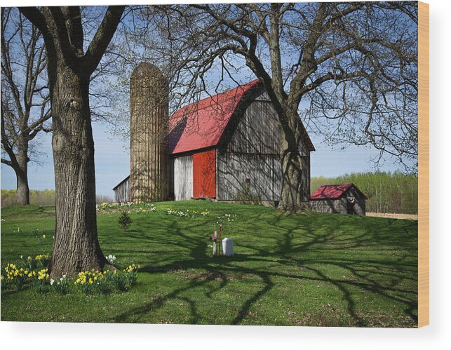 Barn Wood Print featuring the photograph Barn with Silo in Springtime by Mary Lee Dereske
