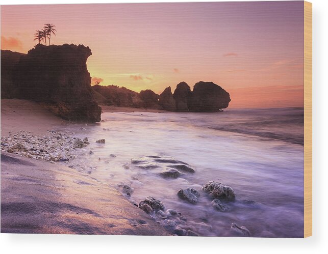 Tranquility Wood Print featuring the photograph Bathsheba Beach by Enzo Figueres