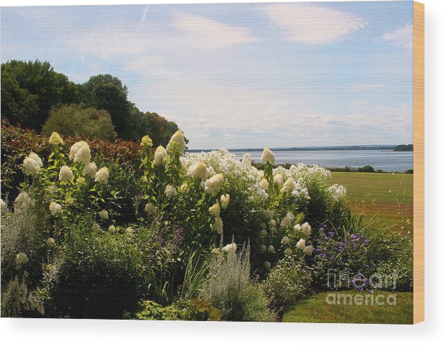 Ocean New Engalnd. Rhode Island Wood Print featuring the photograph Bay view Bristol Rhode Island by Tom Prendergast