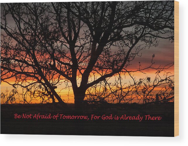 Sillouette Wood Print featuring the photograph Be Not Afraid by Shirley Heier