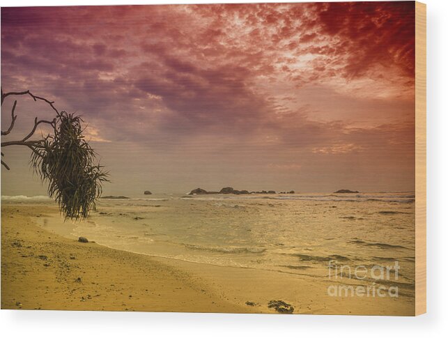 Sunset Wood Print featuring the photograph Beach and Sunset by Gina Koch
