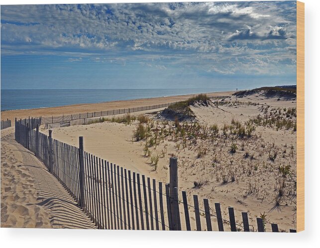 Beach Wood Print featuring the photograph Beach at Cape Henlopen by Bill Swartwout