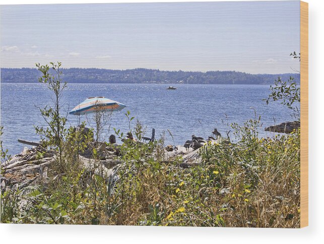  Wood Print featuring the photograph Beach at Maury Island by Cathy Anderson