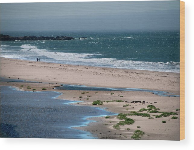 Tranquility Wood Print featuring the photograph Beach Couple by Mitch Diamond