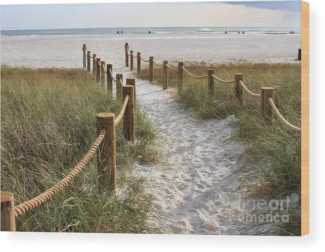 Beach Wood Print featuring the photograph Beach Entrance by Jayne Carney