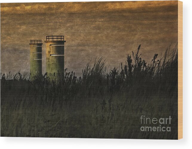 Delaware Photographs Wood Print featuring the photograph Beach Guard Towers at Dusk by Gene Bleile Photography 