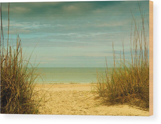 Beach Wood Print featuring the photograph Beach scene by Carolyn D'Alessandro