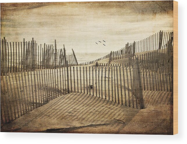 Beach Wood Print featuring the photograph Beach Shadows by Cathy Kovarik