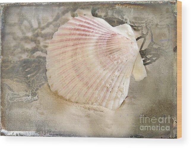 Seashell Wood Print featuring the photograph Beached by Betty LaRue