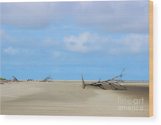 Sapelo Wood Print featuring the photograph Beached Bones by Andre Turner