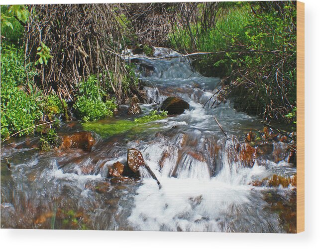  Wood Print featuring the photograph Bear Creek Tributary by Jon Emery