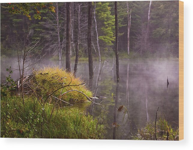 Pond Wood Print featuring the photograph Beaver Lodge by Tom Singleton